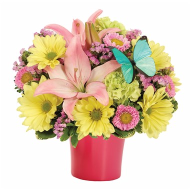 BF577-11KM_red_(002)